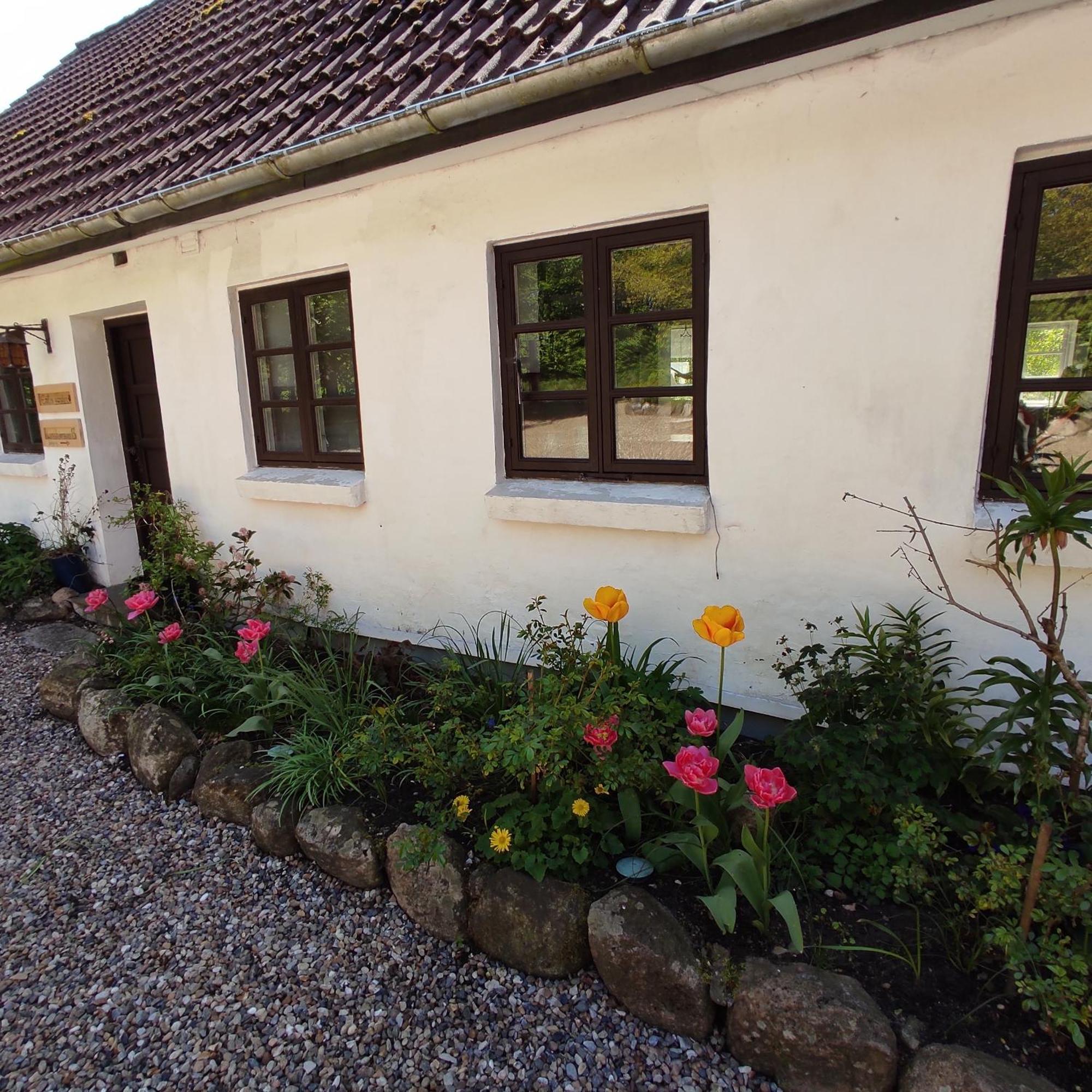 Bed and Breakfast Emily'S Garden Lintrup Zewnętrze zdjęcie